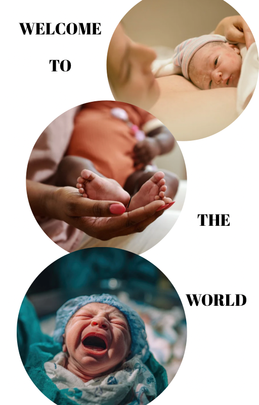 The Baby Manual