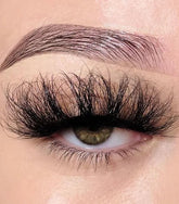 Pretty Wings - The Pretti Shop