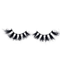 Pretty Wings - The Pretti Shop